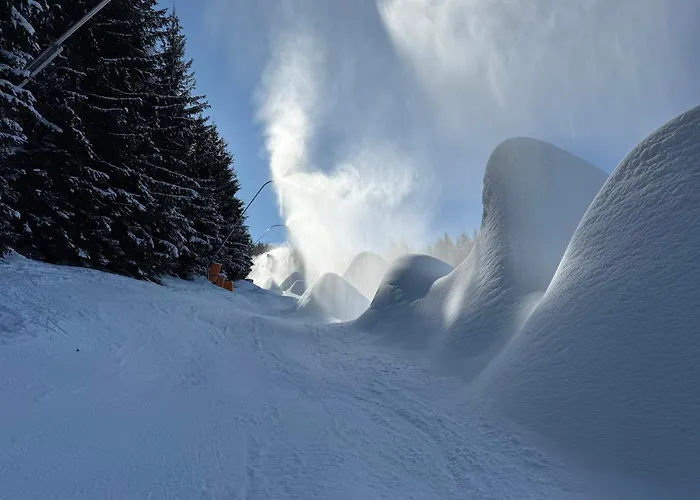 Gasthuis U Studny Harrachov